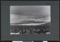 51. Fra Snehætta - no-nb digifoto 20160310 00082 bldsa NGU0480.jpg