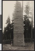 40. Fra Trangen - no-nb digifoto 20150810 00032 bldsa PK30124.jpg