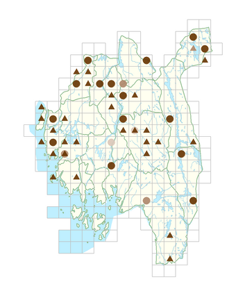 Fragaria moschata.png