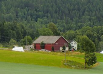 Fram-Sønju (be-2010-07-27-CIMG1214).jpg