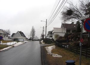 Fridtjof Nansens vei 2014.jpg