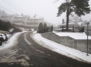 Frodes vei Oslo 2015.jpg