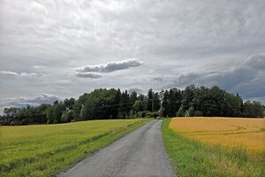 Frogn Ermesjøkroken 260724.jpg