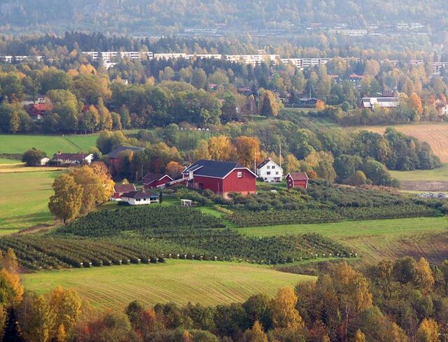 Frogner (gård i Bærum) – lokalhistoriewiki.no