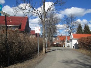 Frydenbergbakken Oslo 2013.jpg