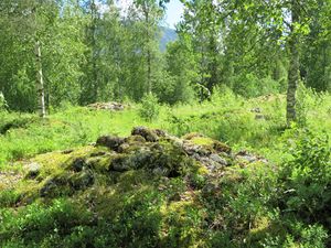 Frygne gravfelt Nore 2019.jpg