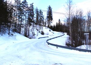 Fulsåsgrende veg i Rollag 2016.jpg
