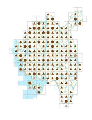 Fumaria officinalis.png