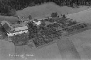Furuberget Hamar.jpg