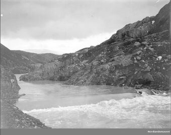 Fykanåga synk 1.jpg