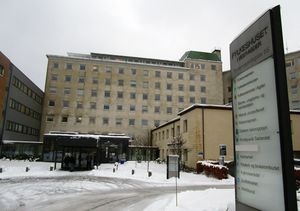 Fylkeshuset i Vest-Agder 2015.jpg