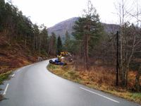 Fyrdsvikane, førebuing 2009 b