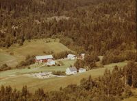 271. Gård - Bingen WF428.jpg
