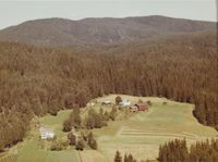 3. Gård - Bingen WF501.jpg