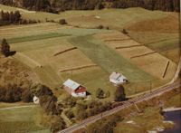 278. Gård - Skotselv WF382.jpg
