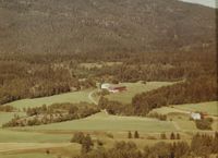 281. Gård - Skotselv WF451.jpg