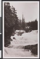 78. GB 1010 Fra Mesnafossene - no-nb digifoto 20150814 00023 bldsa PK25981.jpg