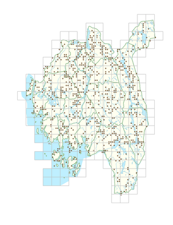 Galeopsis bifida 1.png