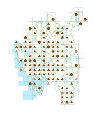 Galeopsis speciosa.png