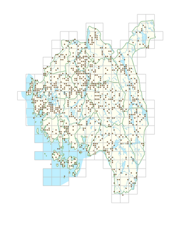 Galeopsis tetrahit 1.png