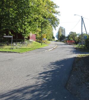 Gamle Borgenvei.jpg.JPG