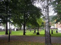 Kongsberg kirkegård med kirken i høyre bildekant. Foto: Stig Rune Pedersen (2013)