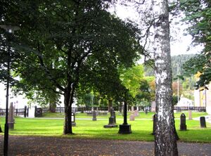 Gamle Kongsberg kirkegård 2013.jpg