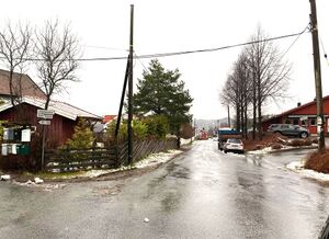 Gamle Tanumvei Bærum 2020.jpg