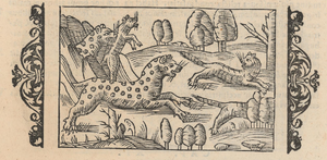 Gauper i Olaus Magnus.png