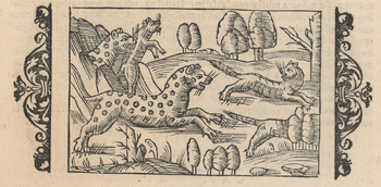 Gauper i Olaus Magnus.png