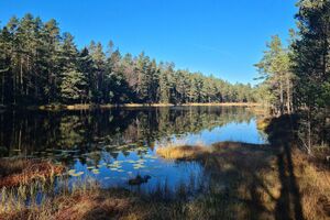 Gaupestein Gjørjetjern 251018.jpg