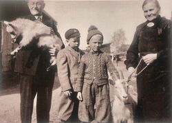 Geitehold hos Høgvall i Stasjonsveien 7 under krigen. Her holder Karl Erik Høgvall godt i geita, sammen med besteforeldrene og en kamerat.