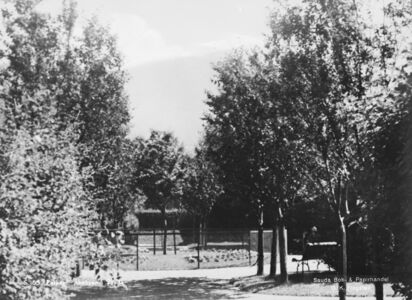 Her ser me midtpartiet i parken. Dette var forma som ein sirkel, med eit tre som sentrum. Rundt er det planta blomar i eit rader som følgjer sirkelen. Sirkelen ser ut til å vera gjerda inn av eit stålgjerde. Kanskje var det eit tiltak for å hindra folk i å gå i bedet? Rundt sirkelen er det plassert klassiske parkbenkar. Foto: Kunstforlaget Mittet & Co. A/S (Nasjonalbiblioteket)