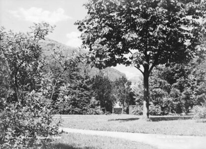 Her står eit kastanjetre som midtpunkt og solitærtre, omkransa av frodige buskar. Foto: Kunstforlaget Mittet & Co. A/S (Nasjonalbiblioteket)