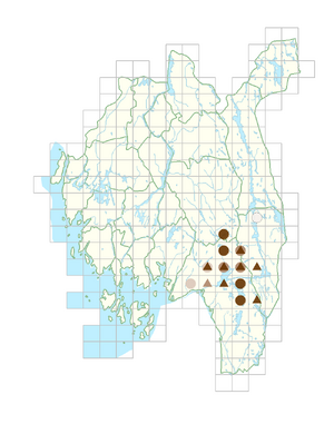 Gentiana pneumonanthe.png