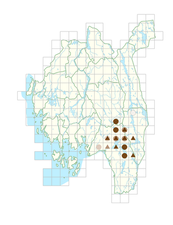 Gentiana pneumonanthe.png