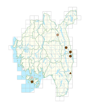 Gentianella campestris subsp. campestris.png