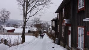 Georg Stangsgt des 2017.jpg