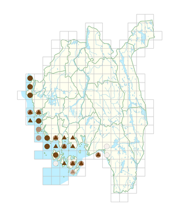 Geranium lucidum.png