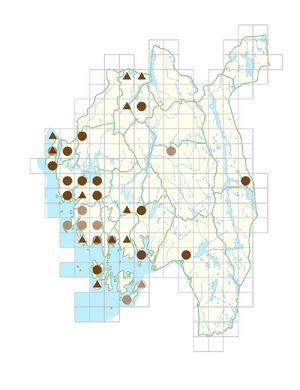 Geranium pratense.png