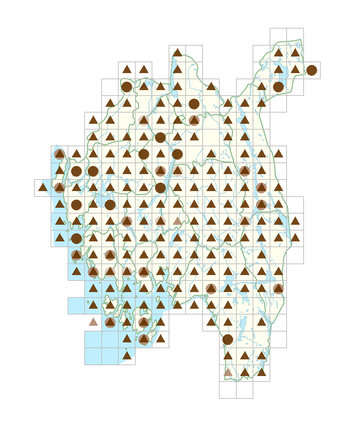 Geranium robertianum.png