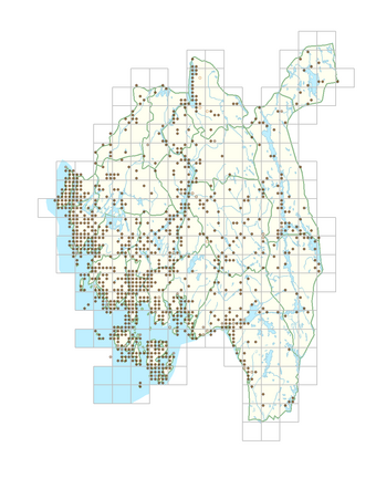 Geranium robertianum 1.png