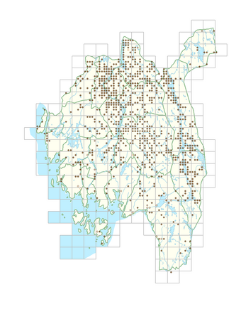 Geranium sylvaticum 1.png