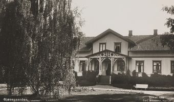 Gjøsegaarden - no-nb digifoto 20150804 00038 bldsa PK28503b.jpg