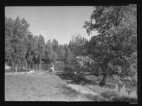 99. Gjøvik, bassengparken - no-nb digifoto 20160303 00067 NB MIT FNR 07160.jpg