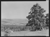 86. Gjøvik - no-nb digifoto 20151127 00040 NB MIT FNR 14017.jpg