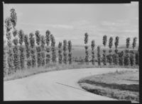 88. Gjøvik - no-nb digifoto 20151127 00044 NB MIT FNR 14015A.jpg