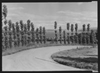 87. Gjøvik - no-nb digifoto 20151127 00114 NB MIT FNR 14015B.jpg