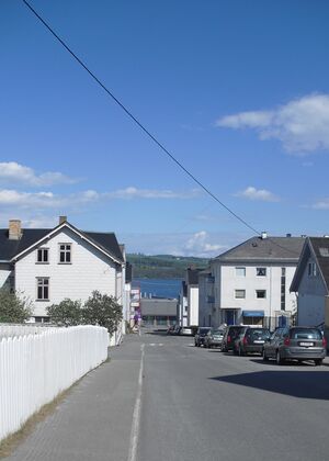 Gjøvik Wergelands gate 2014.jpg