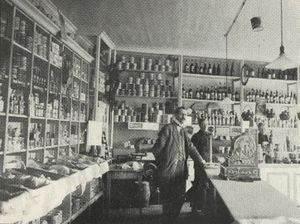 Gjøvik og Oplands Fiskerforretning.JPG